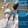 BELPRO Multi-Use Support Dog Harness, Escape Proof No Pull Reflective