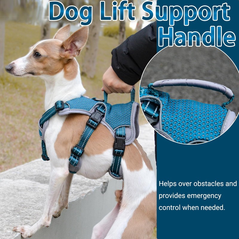 BELPRO Multi-Use Support Dog Harness, Escape Proof No Pull Reflective