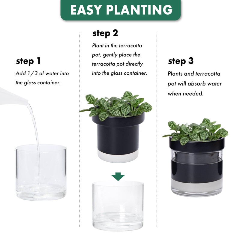 Phoenix Vine 4 Inch Self Watering Planter Pot, Black Terracotta