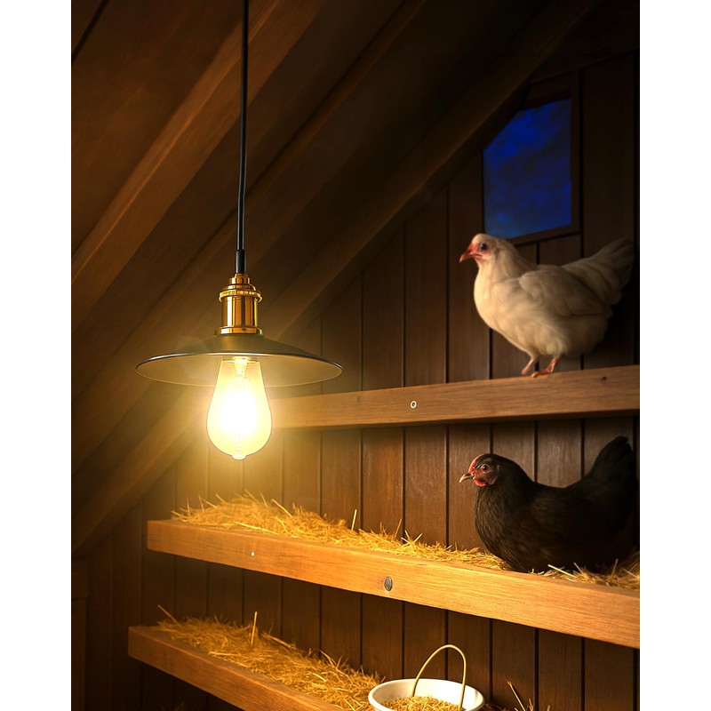 FabStyl Solar Pendant Light Indoor Outdoor, 1000LM Solar Shed Light