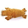 Real Stuffed Walrus nesoberi Series
