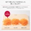 Kai SELECT 100 slicer DH-3026 (Japan import / The package