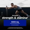 USN Micronised Creatine Powder 500g (79 Servings): Tropical Thunder Flavour,