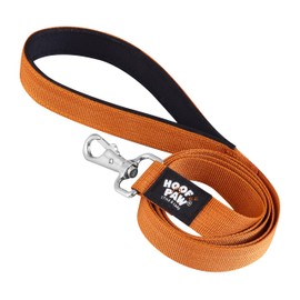 Hoof n Paw Lead For Dogs, Premium Nylon Puppy & Dog Leash, Padded Handle, Comfortable & Easy to Use, For Small, Medium & Large Dogs (Brown, 1.2 metre)
