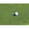 Levelhead Ballmarker Putting Aid (Green) - Alignment Tool for Reading
