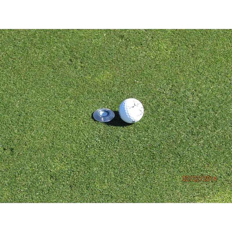 Levelhead Ballmarker Putting Aid (Green) - Alignment Tool for Reading