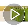 Moldes para Paletas de Hielo Silicona 12 Cavidades, Molde de