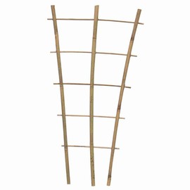 Siena Garden Trellis Natural