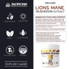 Pacific Rim Mushrooms Pacific Rim Mushrooms Lion's Mane Powder -