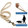 Dog Collar and Lead Set Combo: Adjustable Durable Pet Collars