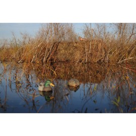 Avery RealGrass-Timber Grass Brown-4-Pack Bag