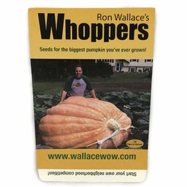 Wallace Organic Wonder Giant Pumpkin Seeds Wallace's Whoppers