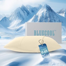 HOMELAB® BlueCool™ Cooling Pillowcases Queen 20"x30", Q-Max>0.4 Instant Cool Down, Smooth Like Silk Pillow Covers for Hot Sleepers & Night Sweats, Gentle on Face & Hair, Set of 2, Cream Mist