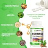 10-in-1 Cortisol Supplement with Magnesium,Ashwagandha,Rhodiola Rosea,L Theanine,Hormone Balance for Women