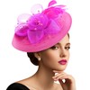 DRESHOW Mesh Women's Flower with Pearl Feather Fascinators Hat on
