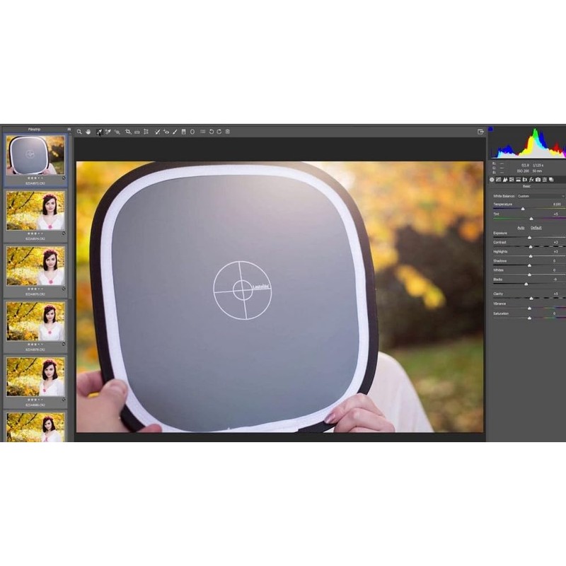 Lastolite by Manfrotto Ezybalance Grey Card - 75 cm, Grey/White