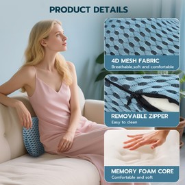 Lumbar Cushion (BLUE)