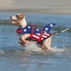 EMUST Dog Life Jacket, Ripstop Dog Lifesaver Vests with Rescue