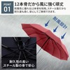 Leiskya Folding Umbrella, Diameter 41.3 inches (105 cm), 12 Ribs,