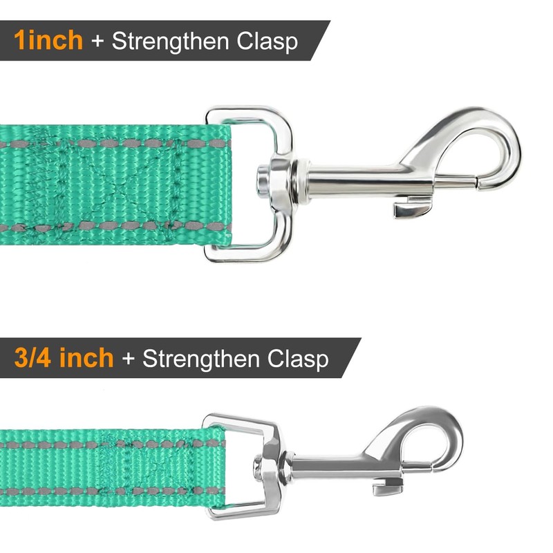 Joytale Padded Handle Dog Lead, Double-Sided Reflective Nylon Leads for