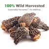 VIGOROUS MOUNTAINS Premium Dried Wild Morel Mushrooms, Wild Harvested, 2oz