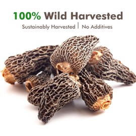 VIGOROUS MOUNTAINS Premium Dried Wild Morel Mushrooms, Wild Harvested, 2oz Earthy Flavor & Rich Umami-Perfect for Gourmet Cooking, Soups, Pasta & Risotto (56.7g)
