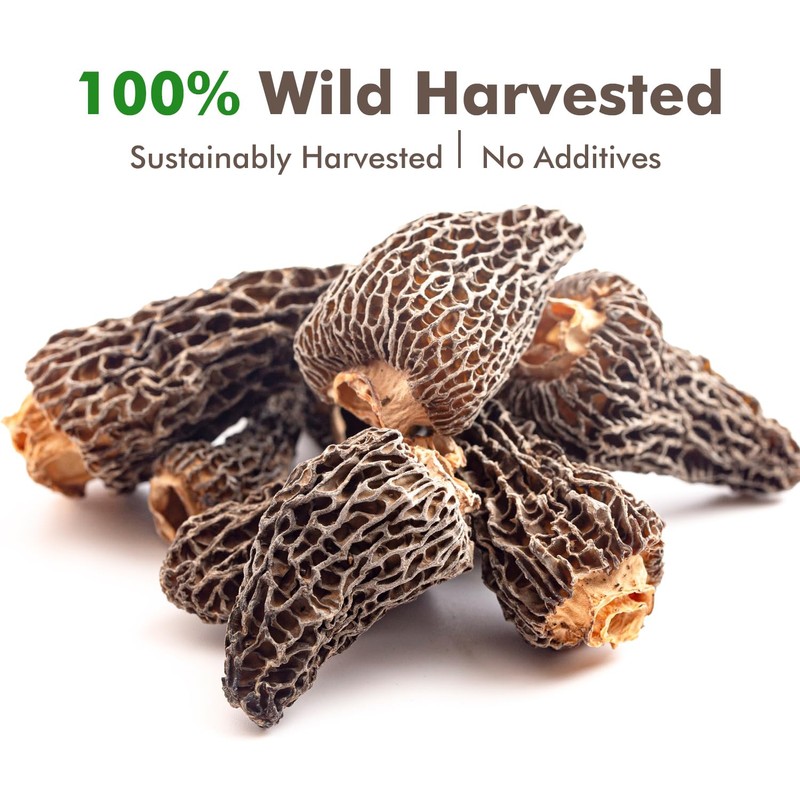 VIGOROUS MOUNTAINS Premium Dried Wild Morel Mushrooms, Wild Harvested, 2oz