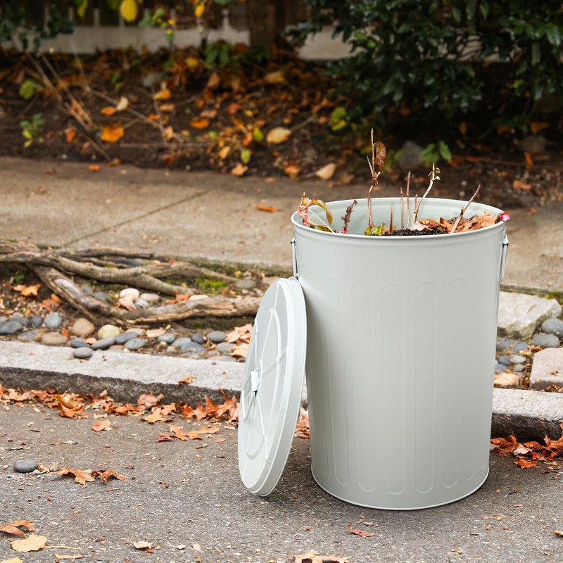 MARKSON 20 Gallon Trash Can, Steel Trash Can with Lid,
