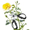 Triangle 50 478 09 02 Herb Scissors, Steel, Black/Silver –