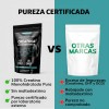 Creatina Monohidratada Micronizada en Polvo | Pre Workout - 100%