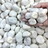FANTIAN 40 lbs White Rocks for Landscaping, 1-2 Inch White