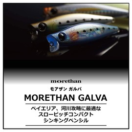 Daiwa Morethan Galba Sea Bass Sinking Pencil Lure