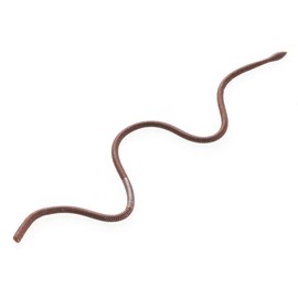 TIEMCO CT Hatta Crawler #09 12 Inch