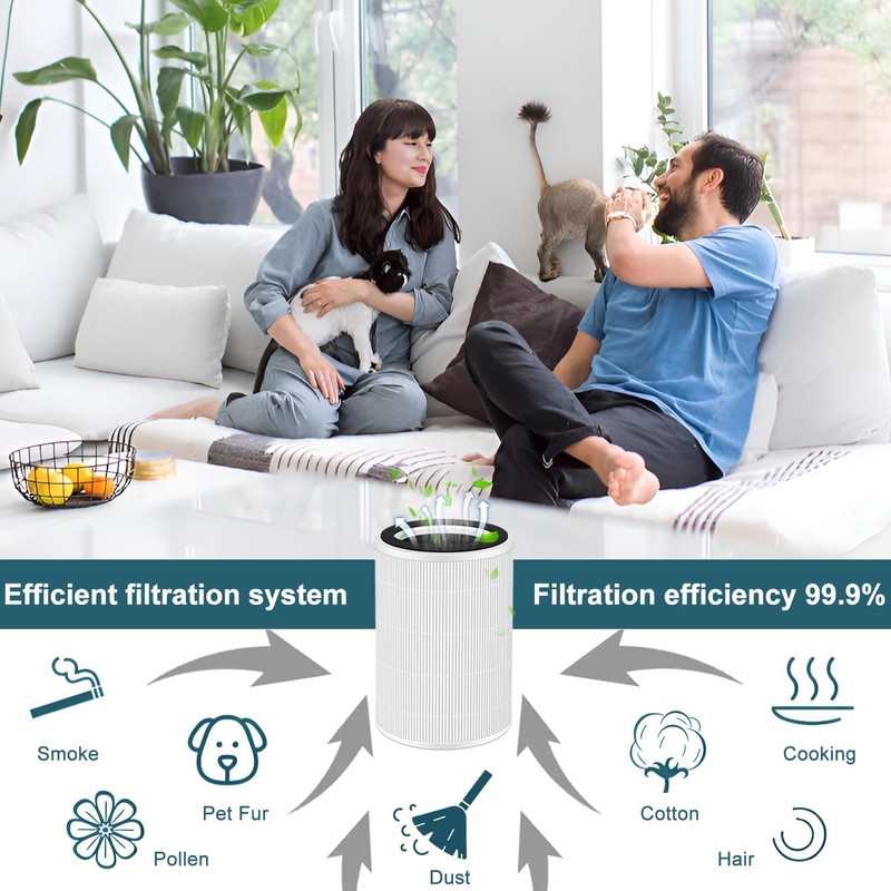 HOAXCINN Replacement Filter Compatible With ECOSELF HAP604 Air Purifiers, 3-In-1