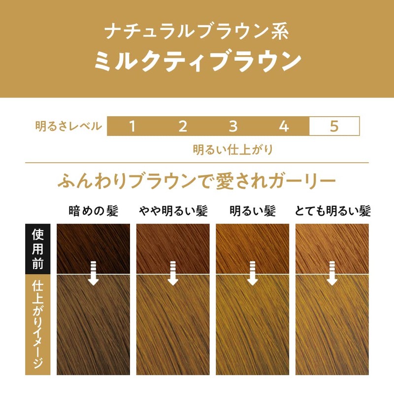 Liese Prettia Bubble Color Hair Dye