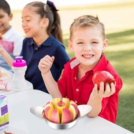 KOMUNJ Apple Slicer, Stainless Steel, Stable and Durable Apple Cutter, Stainless Steel Apple Slicer, 8 Blades, Fruit Cutter, Apple Cutter, Ideal for Apples and Pears