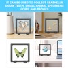 DEALSGOGO 2pcs Seashell holder, 3D Floating Seashell Display Box, Transparent