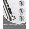 FORIOUS Kitchen Faucet with Soap Dispenser, Burhsed Nickel Stainless Steel