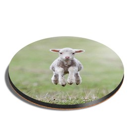 1 x Round Coaster - Cute Spring Lamb Sheep Farm Cork Backed MDF Glossy Tea Coffee Accessory #50697