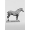 3dtotal Anatomy: Equine figure
