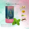 Peppermint Boost by Térapy Ceylon (2 pack) - Premium Ayurvedic