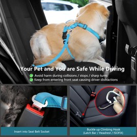 VavoPaw Dog Seat Belt Harness for Car, Dog Car Harness Adjustable Mesh Breathable & Dogs Seatbelt Safety Tether with Elastic Bungee for Small Medium Large Pets(Blue, XL)