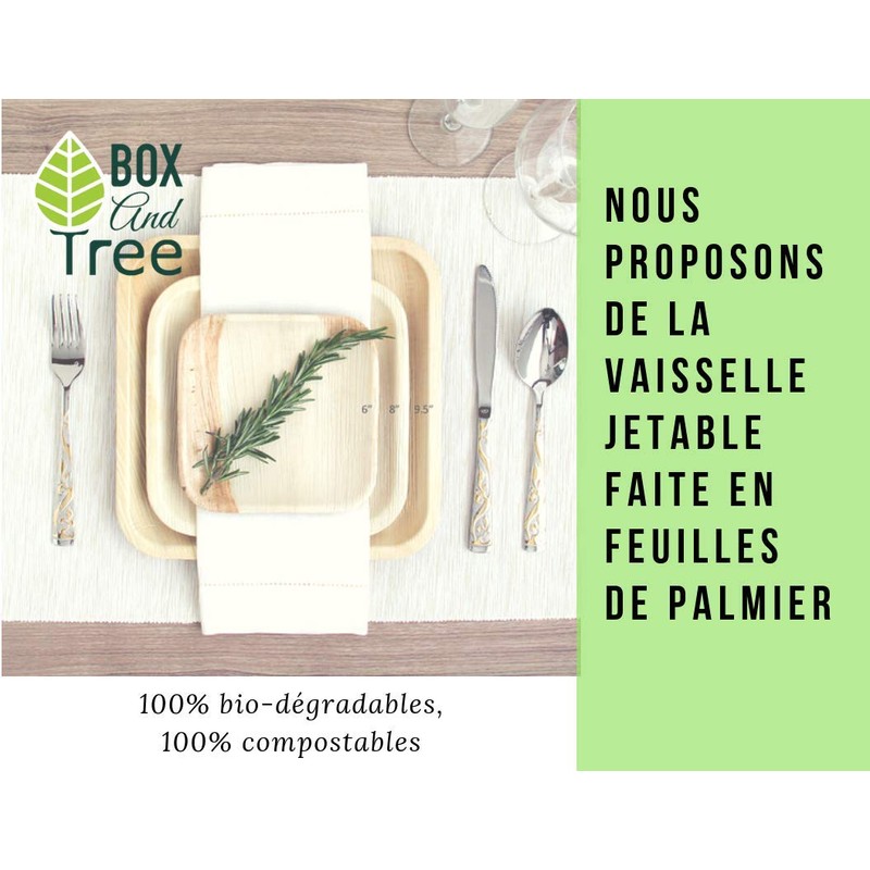 BOX And Tree 25 disposable plates, round, made of palm