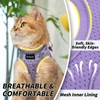 Arblina Soft Mesh Kitten Harness and Leash Set for Walking,