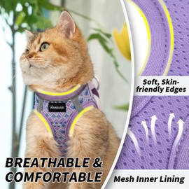 Arblina Soft Mesh Kitten Harness and Leash Set for Walking, Lightweight Step in Cat Vest Harness,Reflective Ajustable Puppy Vest for Traveling
