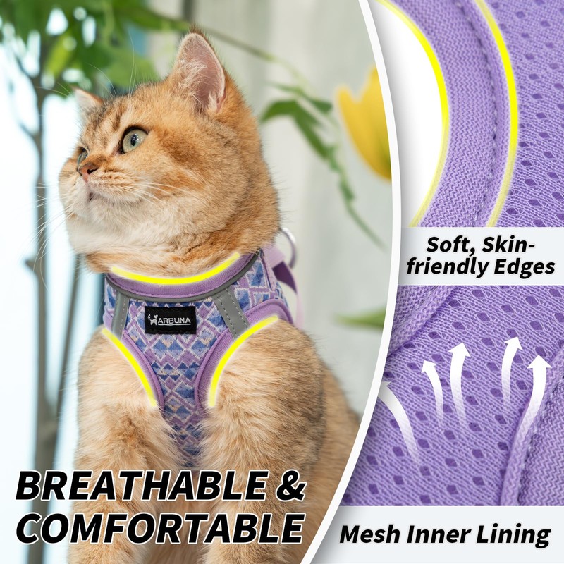 Arblina Soft Mesh Kitten Harness and Leash Set for Walking,