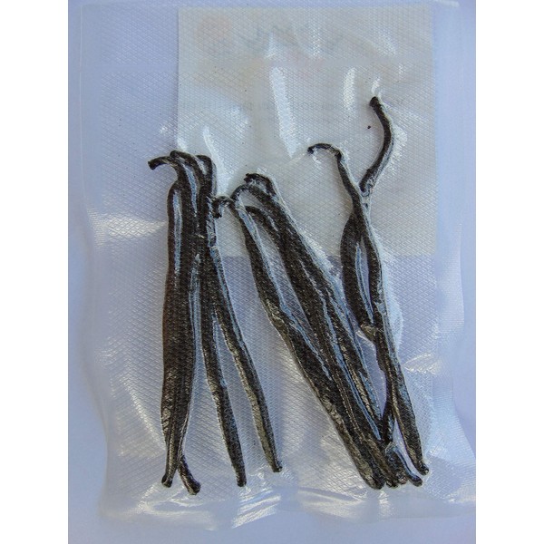 Gourmet Vanilla Beans Pack of 10 (10-14 cm Long)
