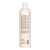 Shampoo Fortificante Blumin Jengibre Y Limón 1000 Ml