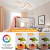 Huilefu Modern Dimmable LED Ceiling Light Fixture,with Remote Control 3