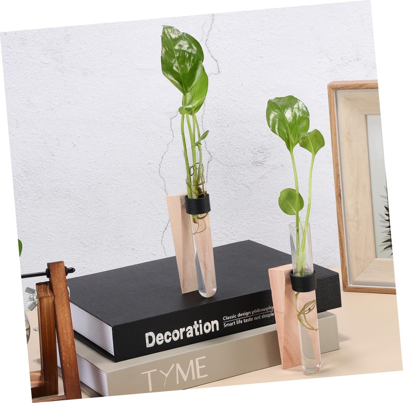 GRIRIW 2 Sets Wall Hanging Planter Test Tube Vases for
